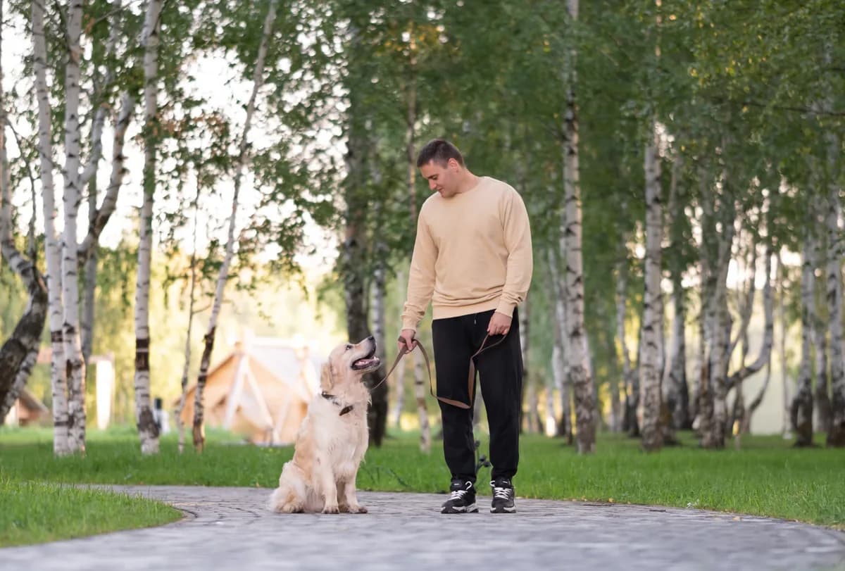A professional dog trainer guiding an owner and their dog through an outdoor obedience session