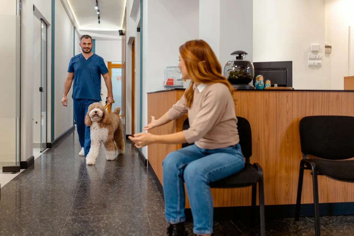 Veterinarian and a pet owner with a dog in a bright animal hospital exam room