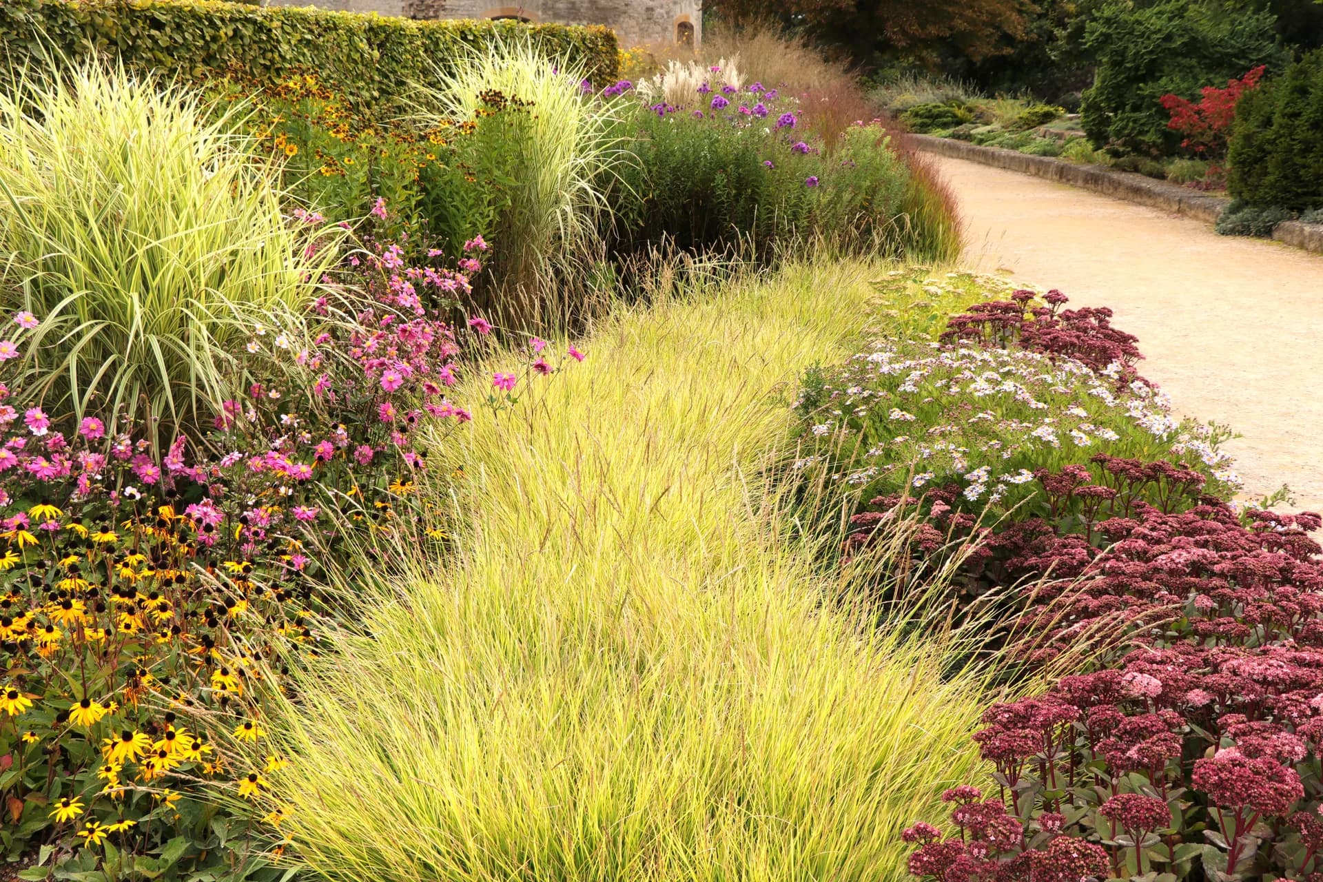 North-facing coastal garden at Stinson Beach with cypress windbreak
