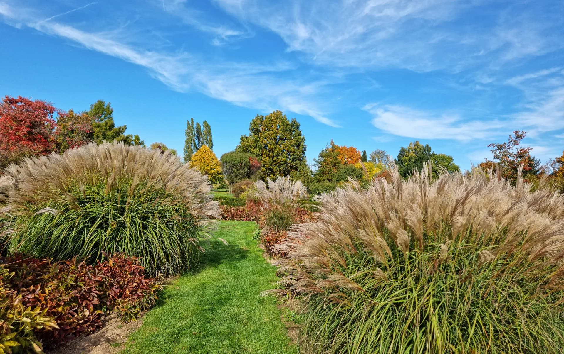 Naturalistic