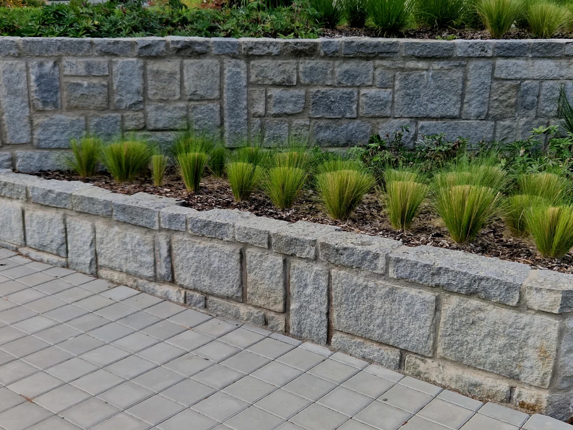 Olive trees and stone terrace at Cane House