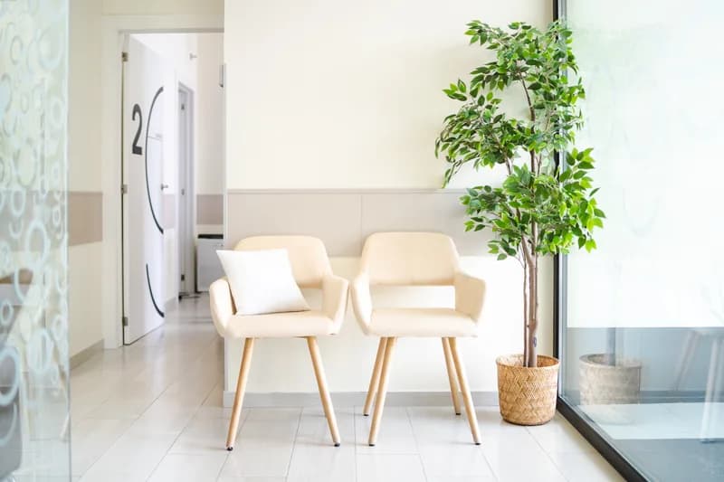 Bright waiting room with cream armchairs and a potted plant