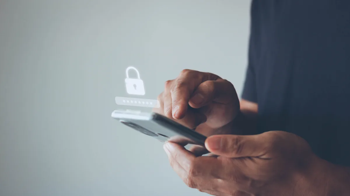 Login security password interface